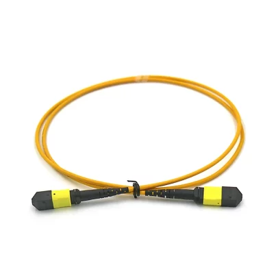 MTP/APC Female to MTP/APC Female Trunk Cable Assembly 12 Fibers Polarity A Single Mode 9/125 2M
