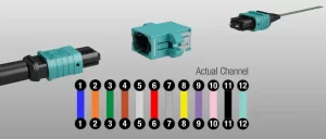 MPO MTP Polarity Explain