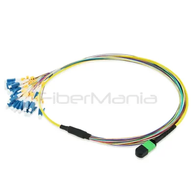 MTP/APC Male to LC Fanout Cable 24 Fibers Single Mode 9/125 1M