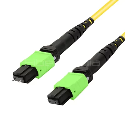 MTP/APC Male to MTP/APC Female Trunk Cable Assembly 12 Fibers Polarity A Single Mode 9/125 2M