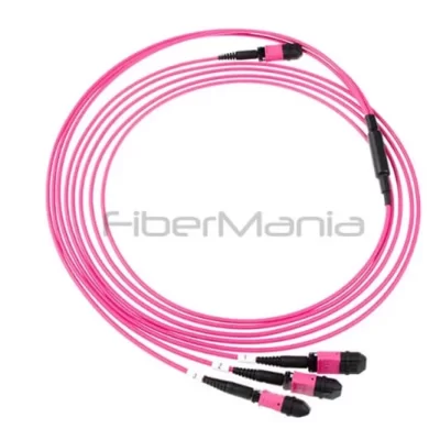 24-Fiber MPO Male to 3×MPO Female OM4 Breakout Cable, 50/125 µm, 5M Magenta