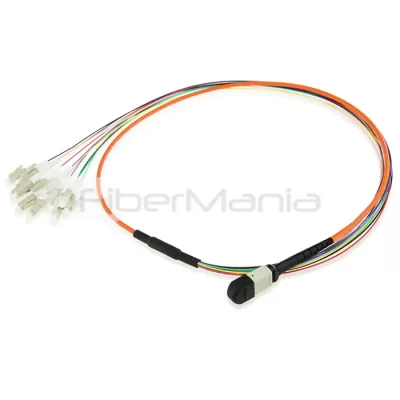 MTP Male to LC Fanout Cable 12 Fibers OM1 62.5/125 1M