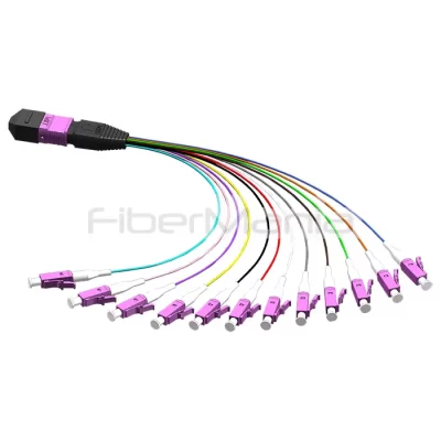 MTP Male to LC Harness Fanout Cable 12 Fibers OM4 50/125 10G Hytrel Jacket Magenta 0.3M
