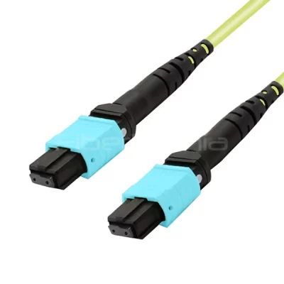MTP Female to MTP Female Trunk Cable Assembly 12 Fibers Polarity A OM5 50/125 100G 2M