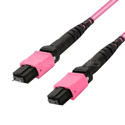 MTP Male-to-Female OM4 Trunk Cable, 12-Fiber Polarity A, 50/125 Multimode 40G/100G, 2m