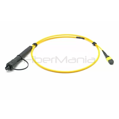 Outdoor MPO MTP IP67 FastConnect 12 Fiber Optic Patch Cable Assembly