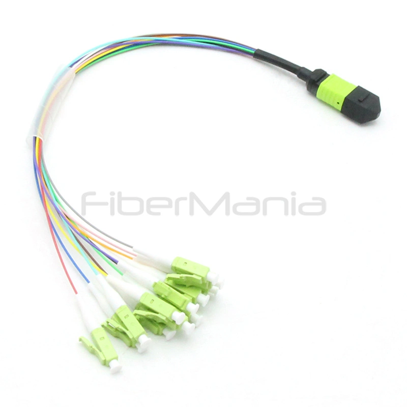 MTP Male to LC Patch Cord, OM3 OM4 OM5 Multimode Fiber, 0.9mm, 0.3m - Image 3