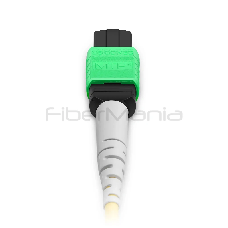 2m (7ft) MTP®-8 APC Female to 4x MDC UPC Duplex Fiber Harness, 8-Fiber OS2 G.657.A1 Single Mode, Type B, 0.35dB, OFNP - Image 4